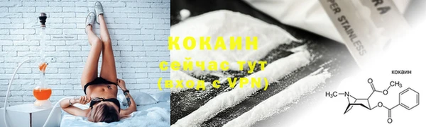 первитин Богданович