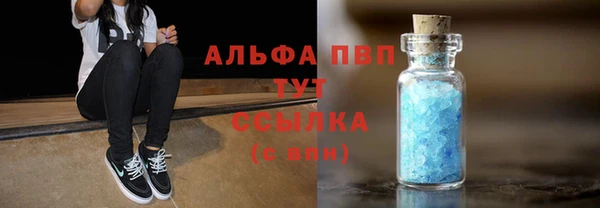 первитин Богданович