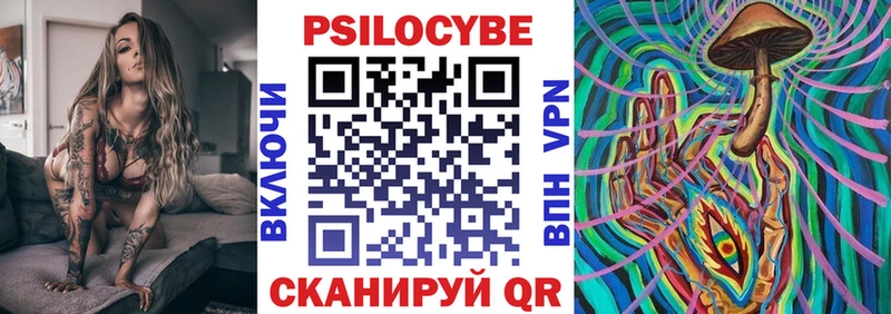 Купить где  Велиж  Галлюциногенные грибы Psilocybe 