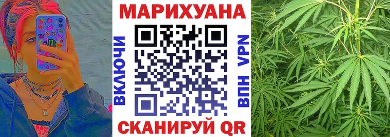 Купить где  Велиж  МАРИХУАНА ГИДРОПОН 